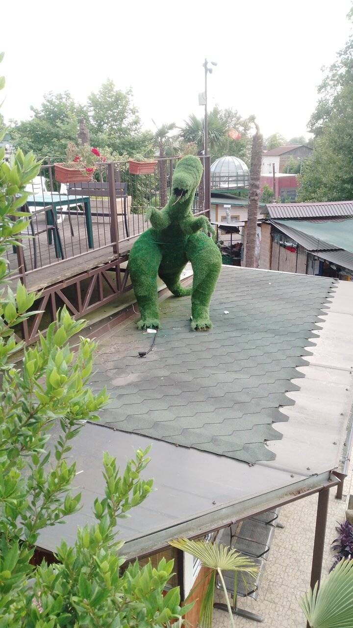 Фото Гостиницы Море и Горы Лазаревское 98