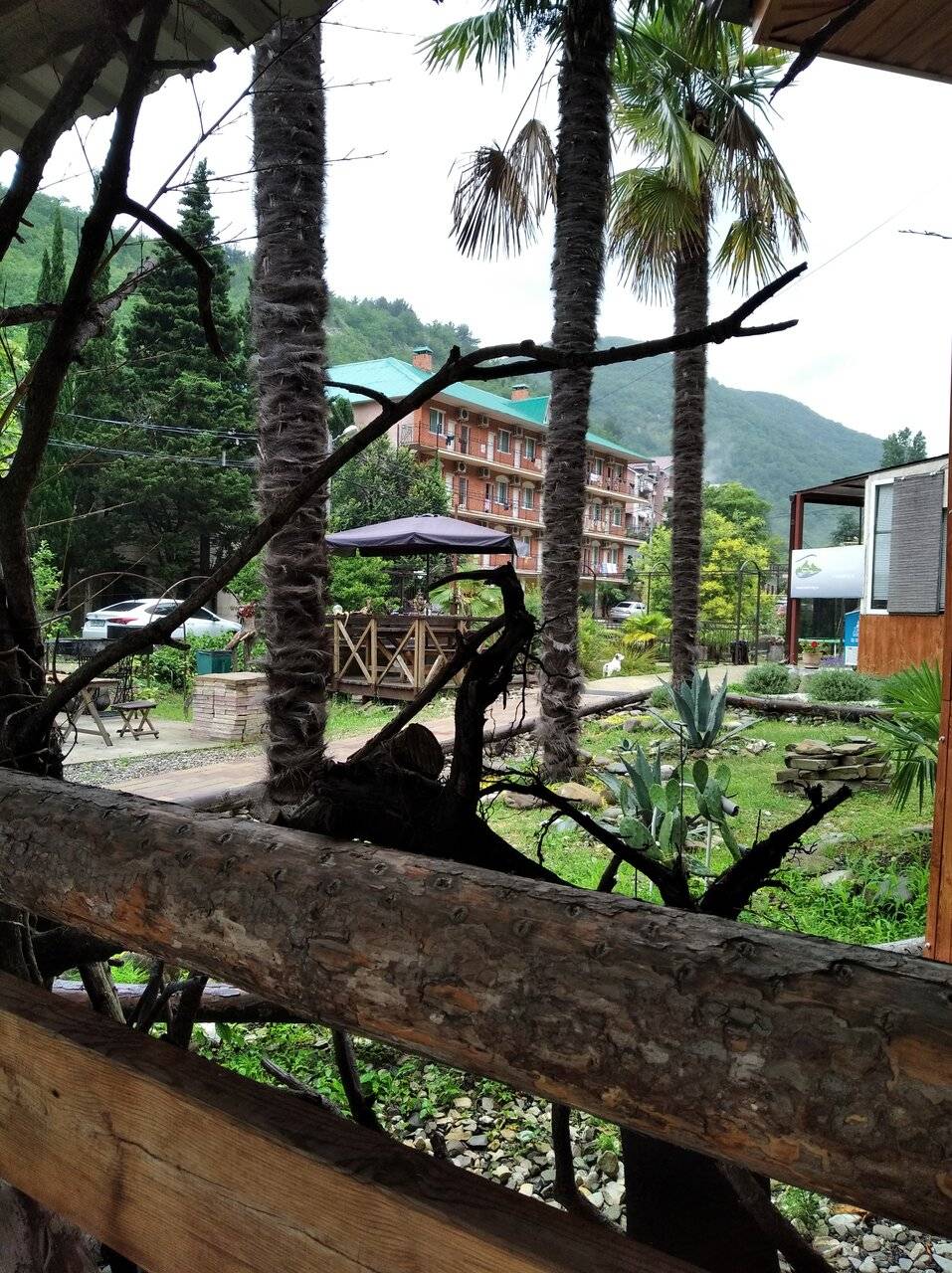 Фото Гостиницы Море и Горы Лазаревское 146