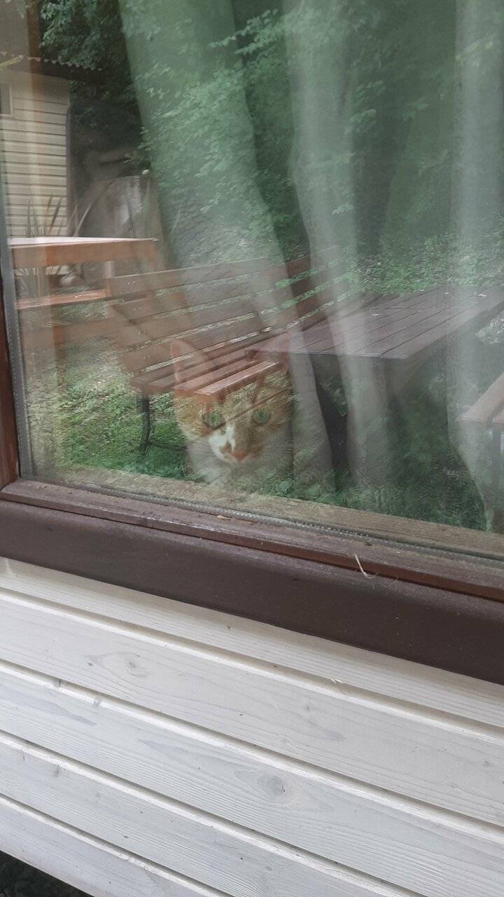 Фото Гостиницы Море и Горы Лазаревское 115