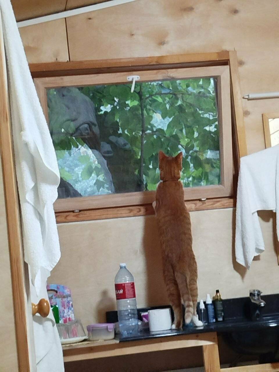 Фото Гостиницы Море и Горы Лазаревское 139