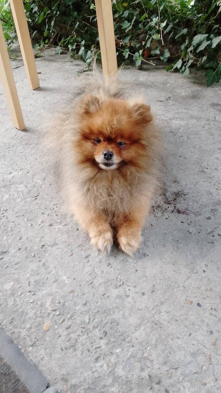 Фото Гостиницы Море и Горы Лазаревское 117