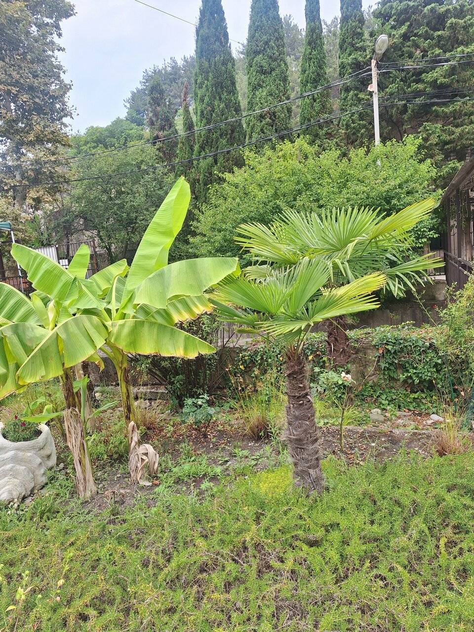 Фото Гостиницы Море и Горы Лазаревское 85