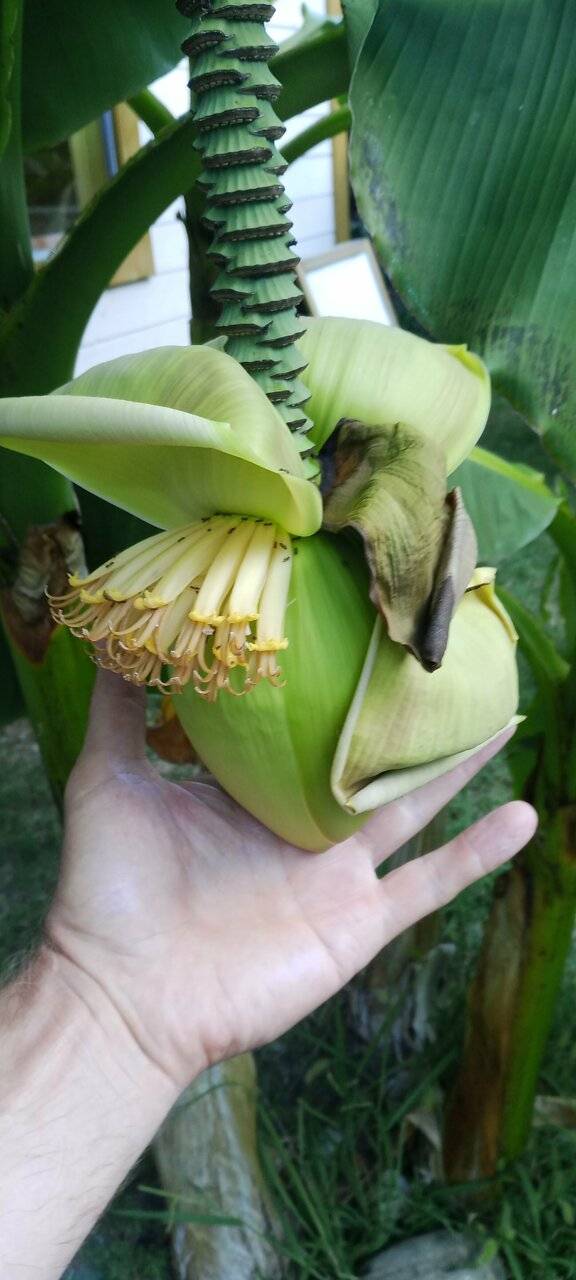 Фото Гостиницы Море и Горы Лазаревское 129