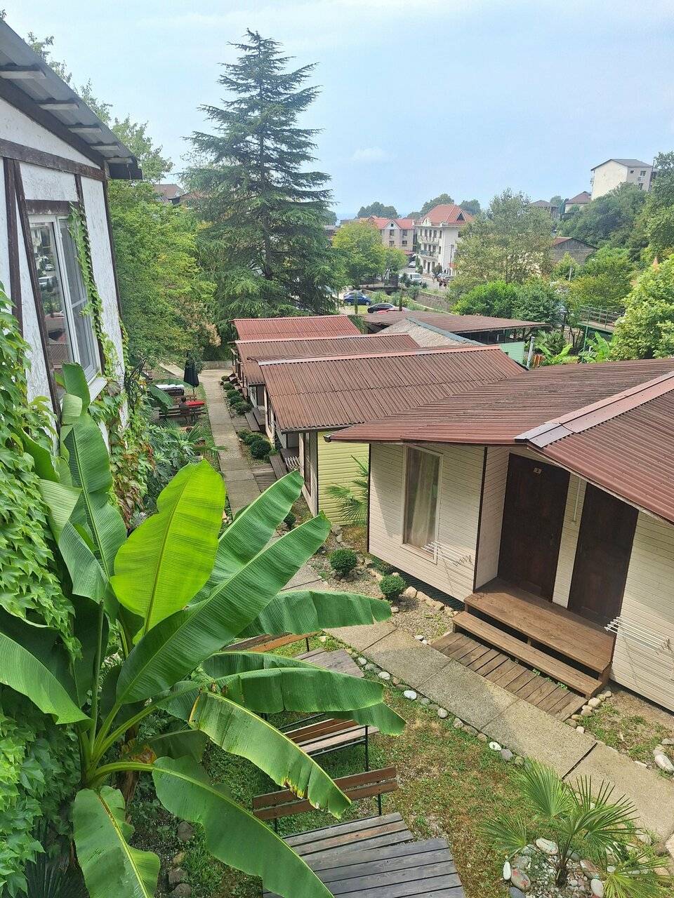 Фото Гостиницы Море и Горы Лазаревское 130