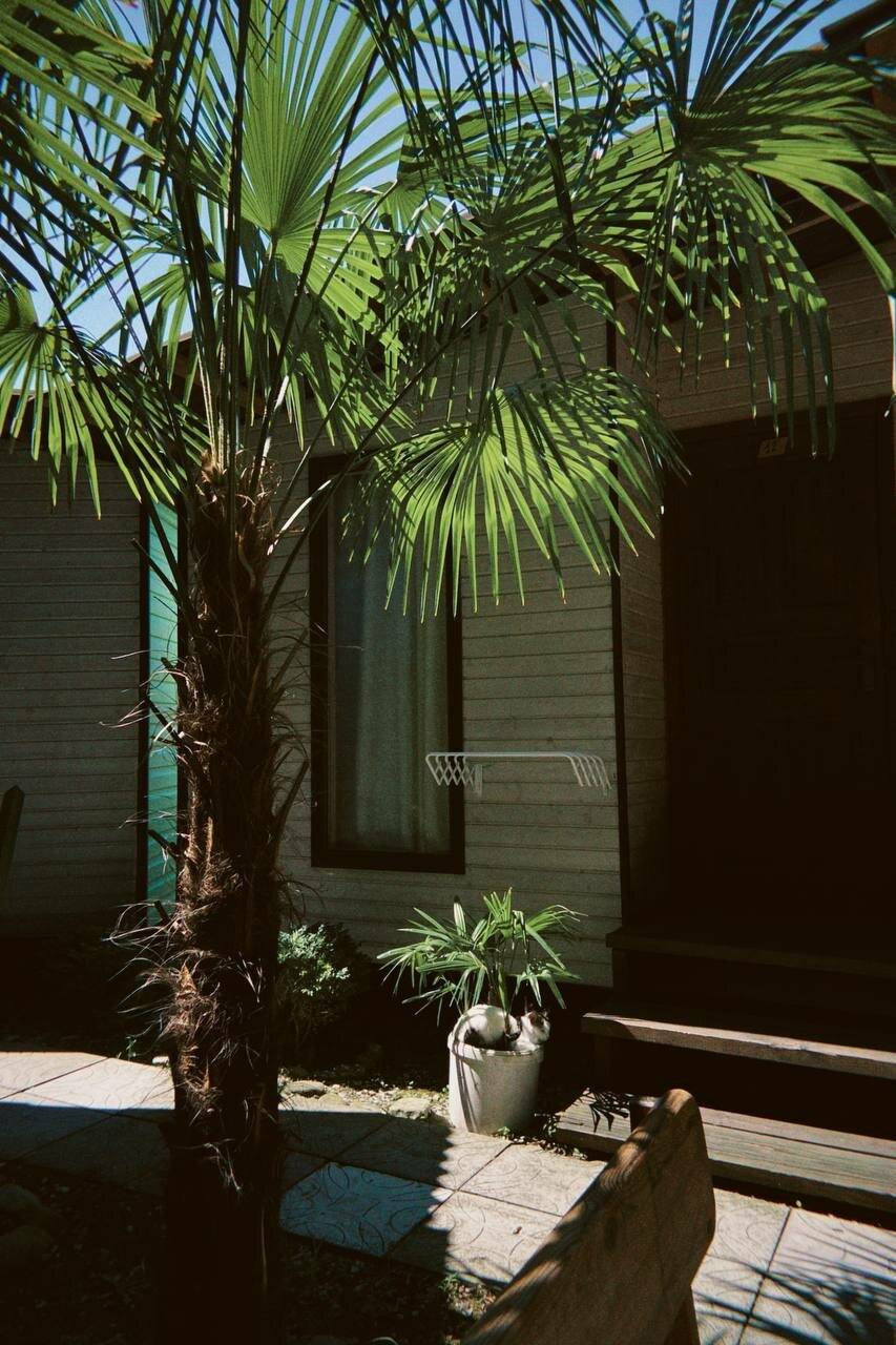 Фото Гостиницы Море и Горы Лазаревское 155