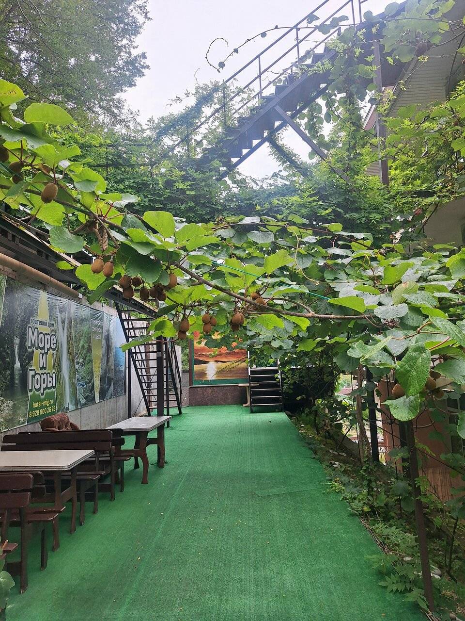 Фото Гостиницы Море и Горы Лазаревское 121